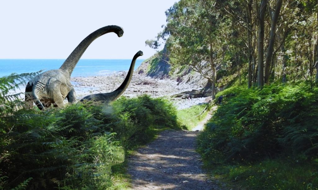 Hace 150 millones de años, esta roca caliza era un lodazal en el fondo de una laguna donde los dinosaurios caminaban, dejando sus huellas en el barro. Hoy, fosilizadas y visibles, puedes descubrirlas con tus propios ojos.